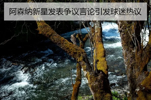 阿森纳新星发表争议言论引发球迷热议
