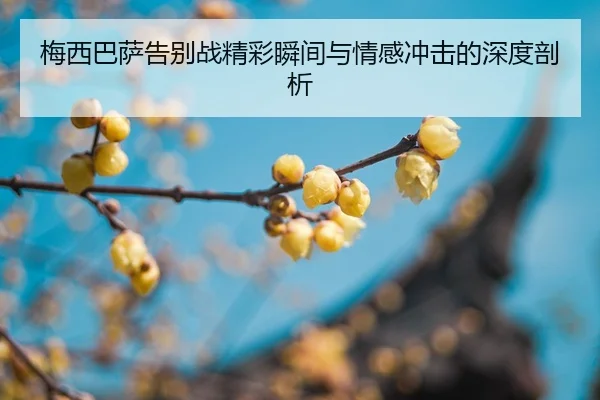 mei-xi-ba-sa-gao-bie-zhan-jing-cai-shun-jian-yu-qing-gan-chong-ji-de-shen-du-pou-xi-2-604.jpg